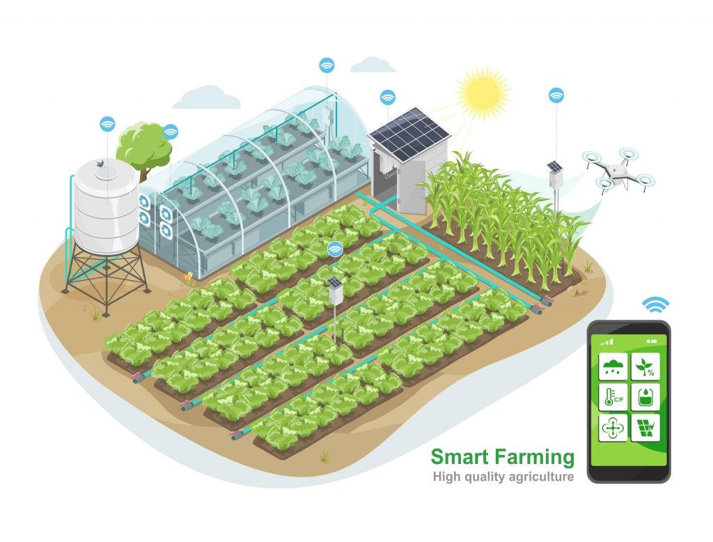 IoT Solutions